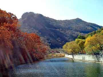 天天彩好彩天天免费，包装流水线厂家